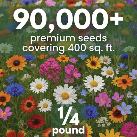 Family Sown 90k seeds bulk pack, ready for large-area sowing.