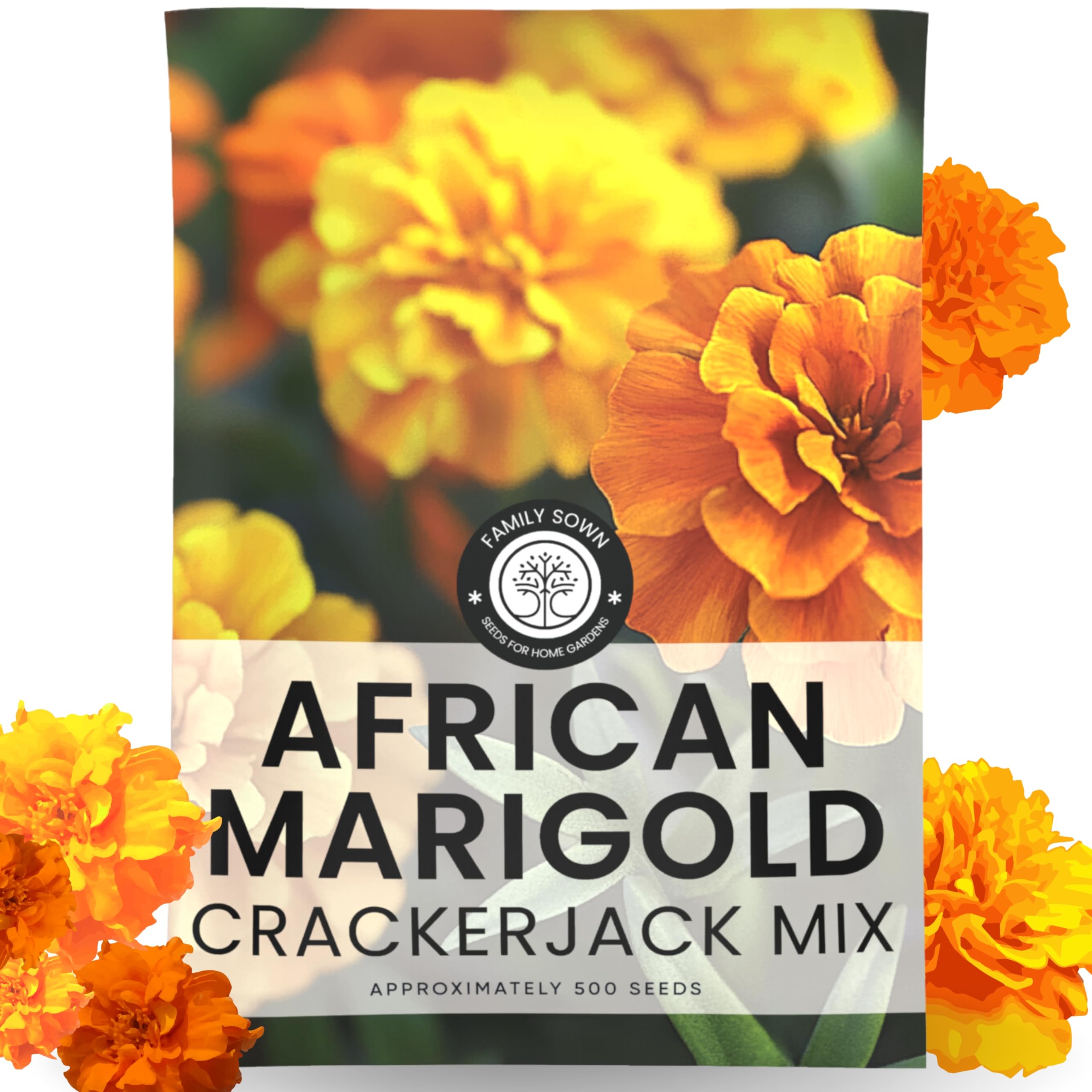 FAMILY SOWN African Marigold Crackerjack envelope with over 500 seeds for bold garden color.
