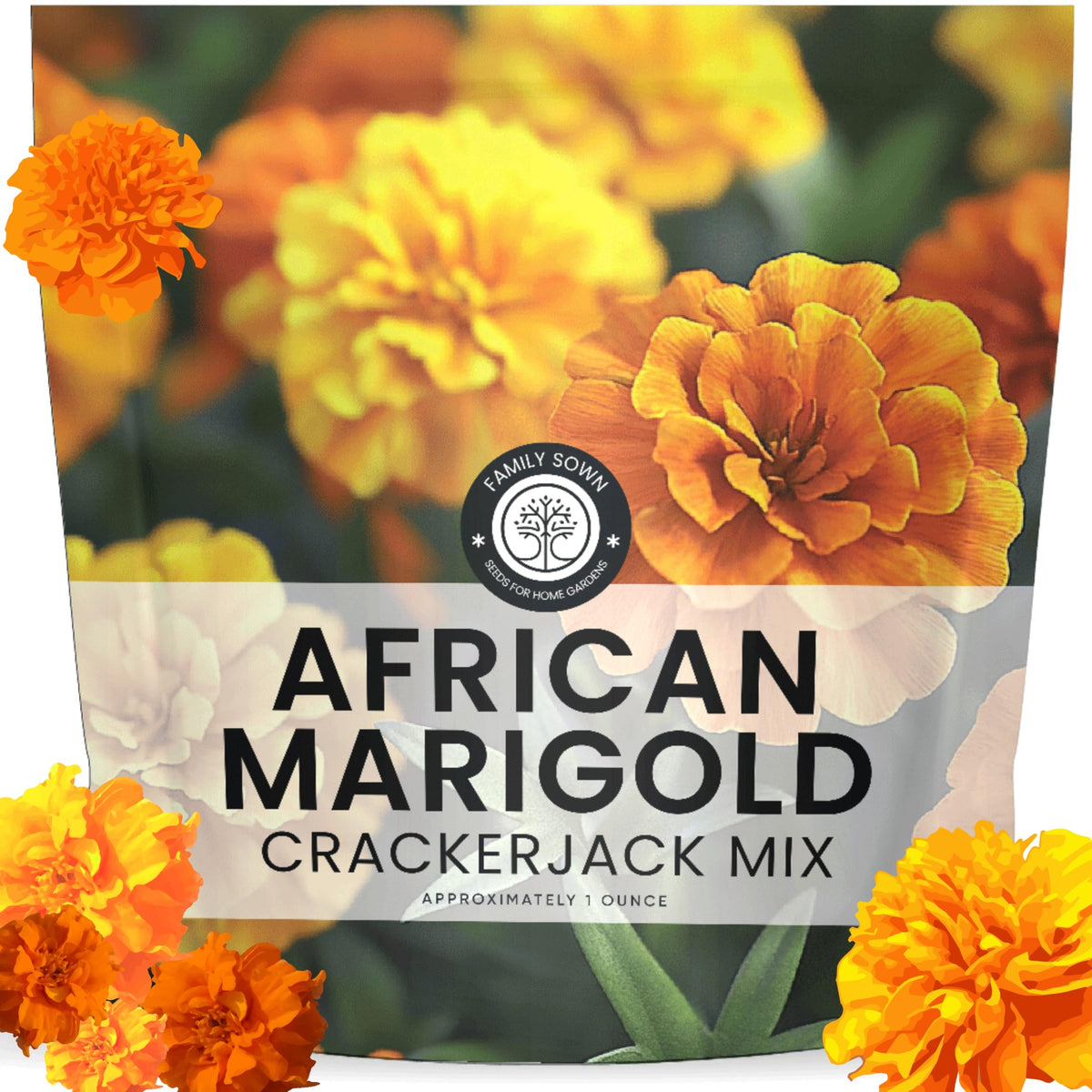 Family Sown African Marigold Crackerjack seed packet highlighting 10,000 seeds for easy garden planting.