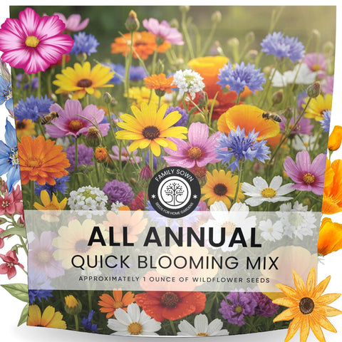 FAMILY SOWN all-annual quick blooming mix 1oz packet seeds offer fast color for gardens.