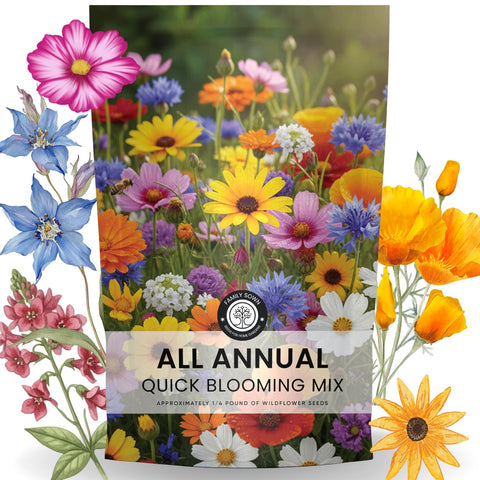 Family Sown All Annual Quick Blooming Mix packet boosts quick color in any garden