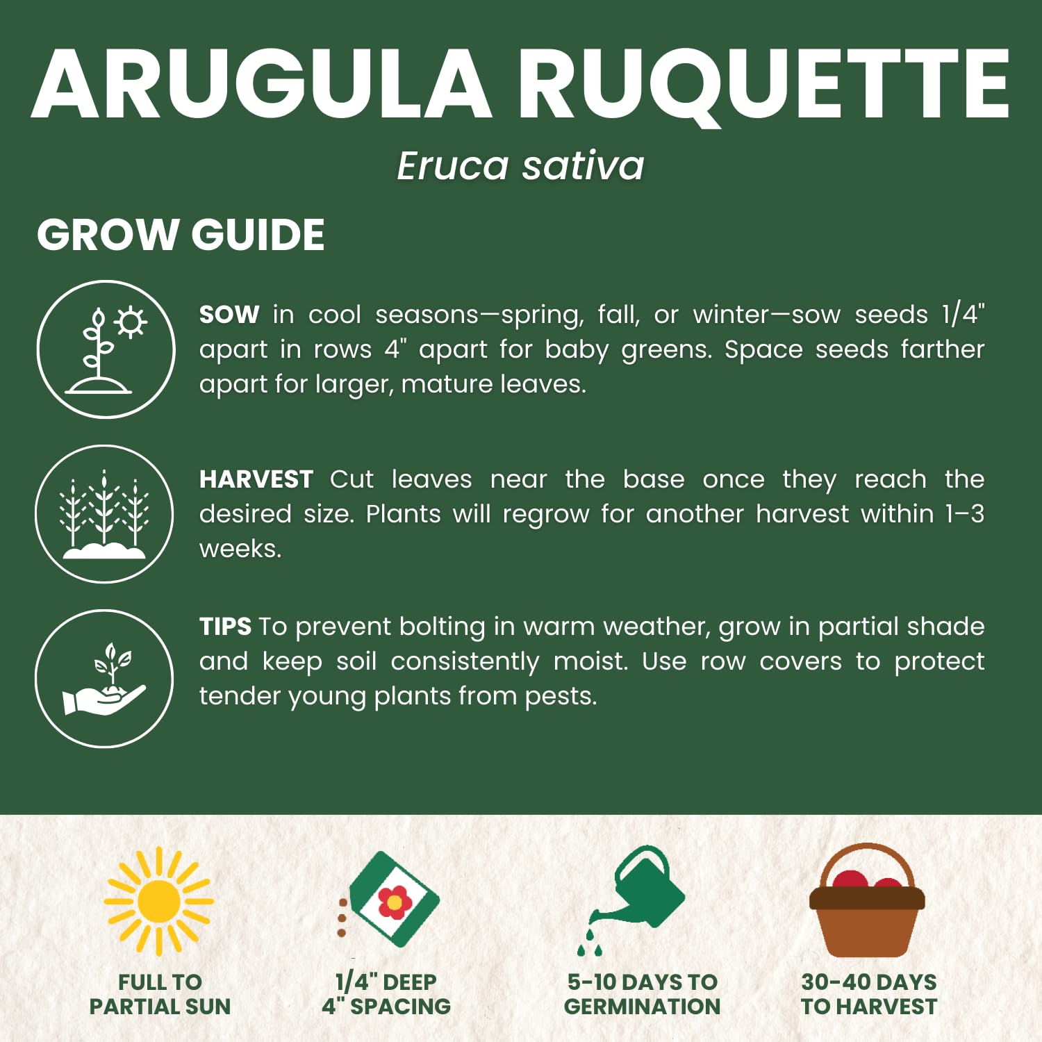 Family Sown Arugula Ruquette packaging closeup highlights premium seed quality.