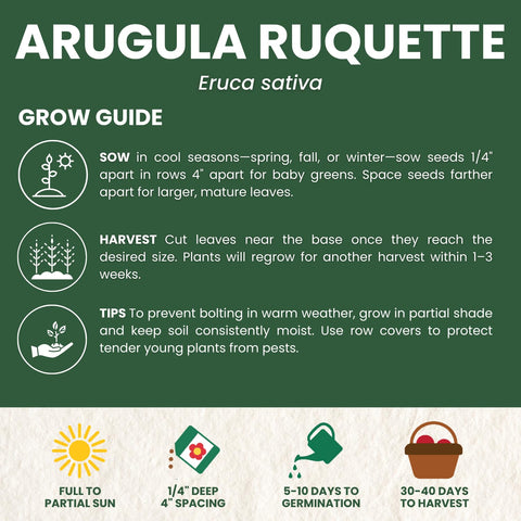 Family Sown Arugula Ruquette packaging closeup highlights premium seed quality.