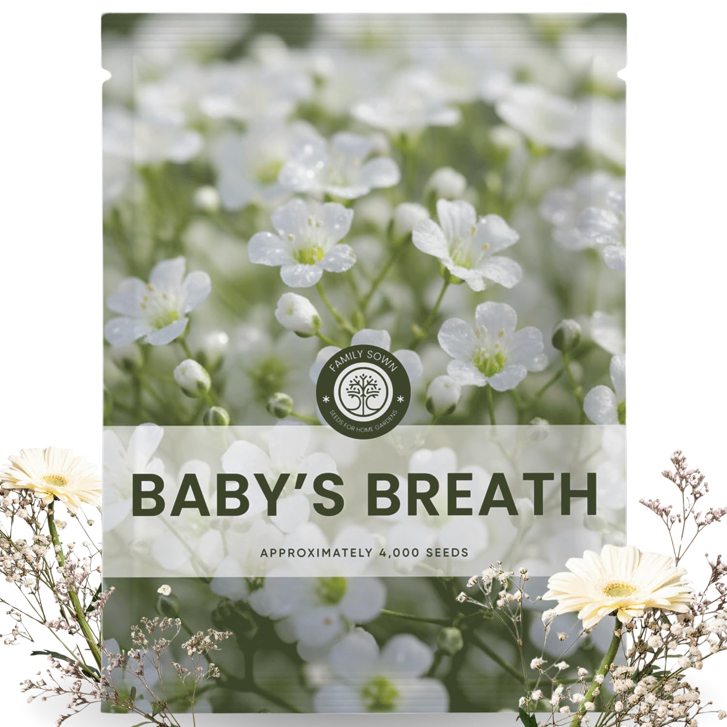 Family Sown Baby's Breath seeds provide broad bed coverage for airy blooms.