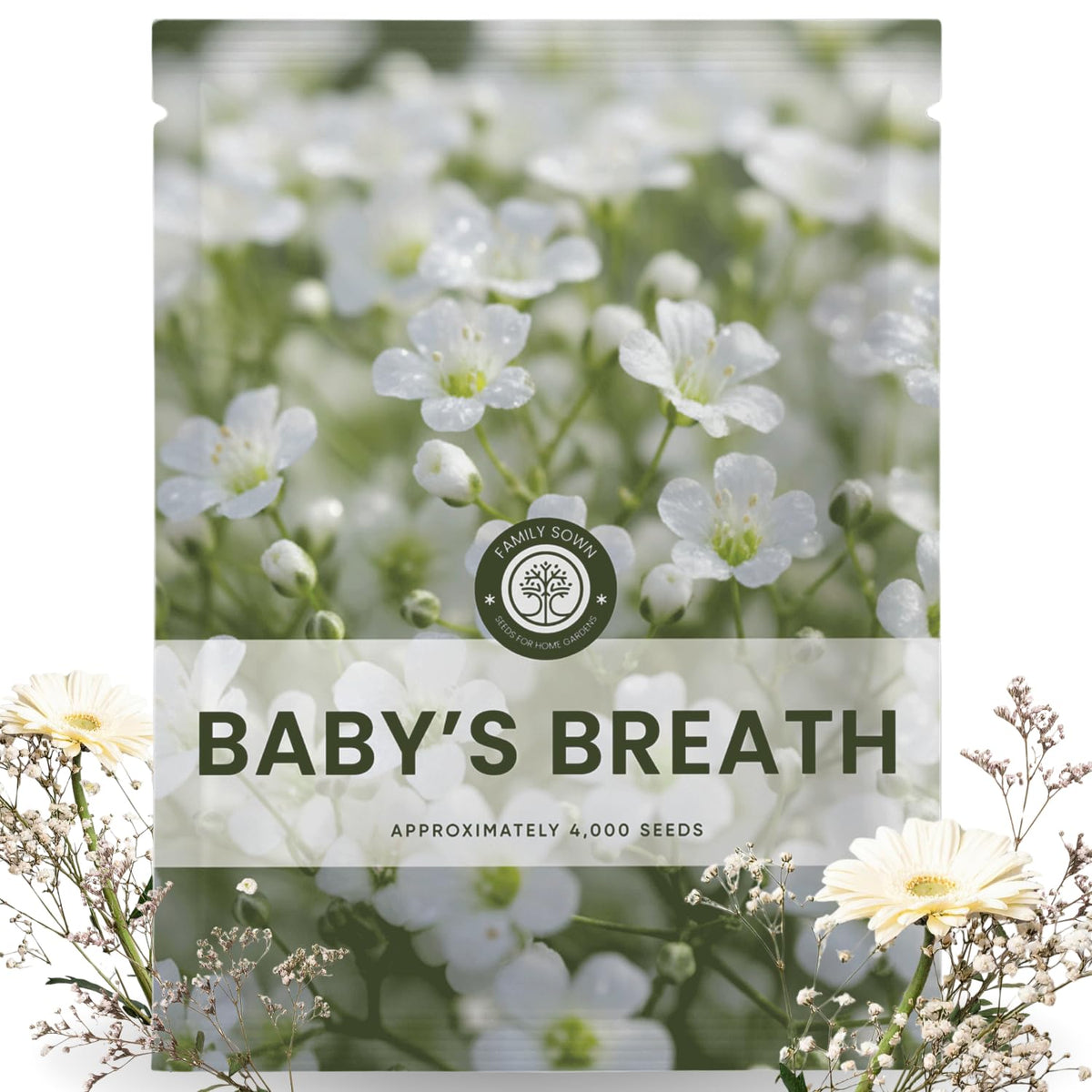 Family Sown Baby's Breath seeds provide broad bed coverage for airy blooms.