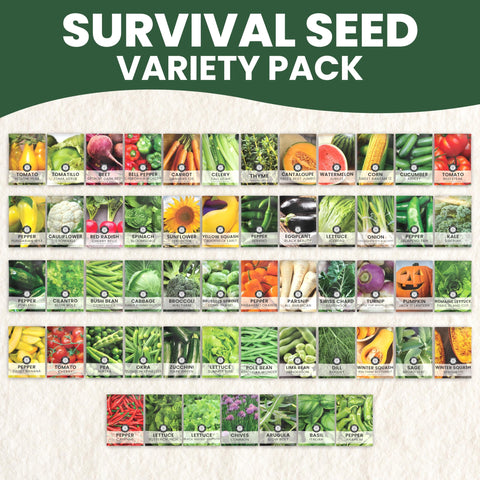 Family Sown basil Italian seed-packet adds living flavor to meals.
