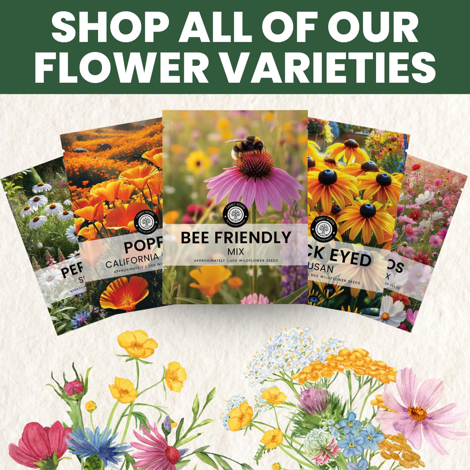 FAMILY SOWN Bee Friendly Mix easy-care seeds ideal for beginners.