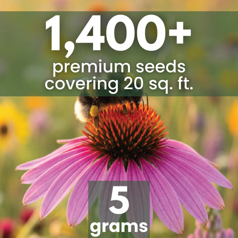 FAMILY SOWN Bee Friendly Mix pollinator garden close-up with nectar-rich blossoms.