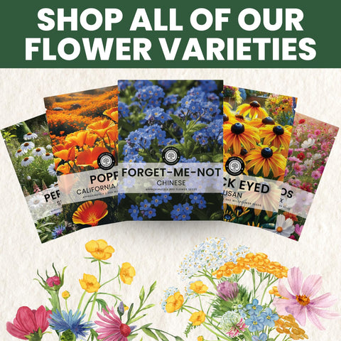 Family Sown bee-pollinator friendly blooms attract early pollinators.