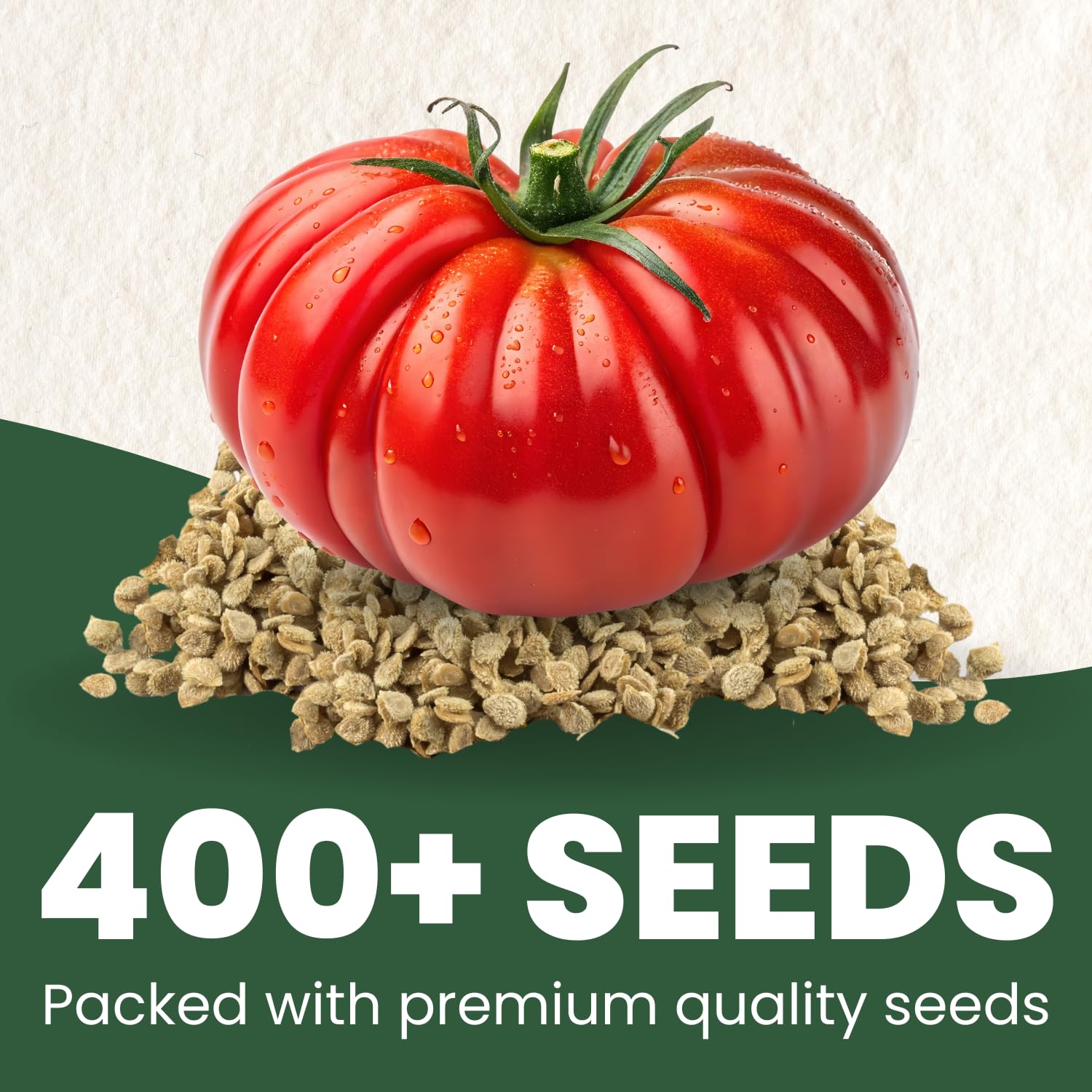 FAMILY SOWN heritage variety packaging showcasing premium heirloom seeds for home gardeners.