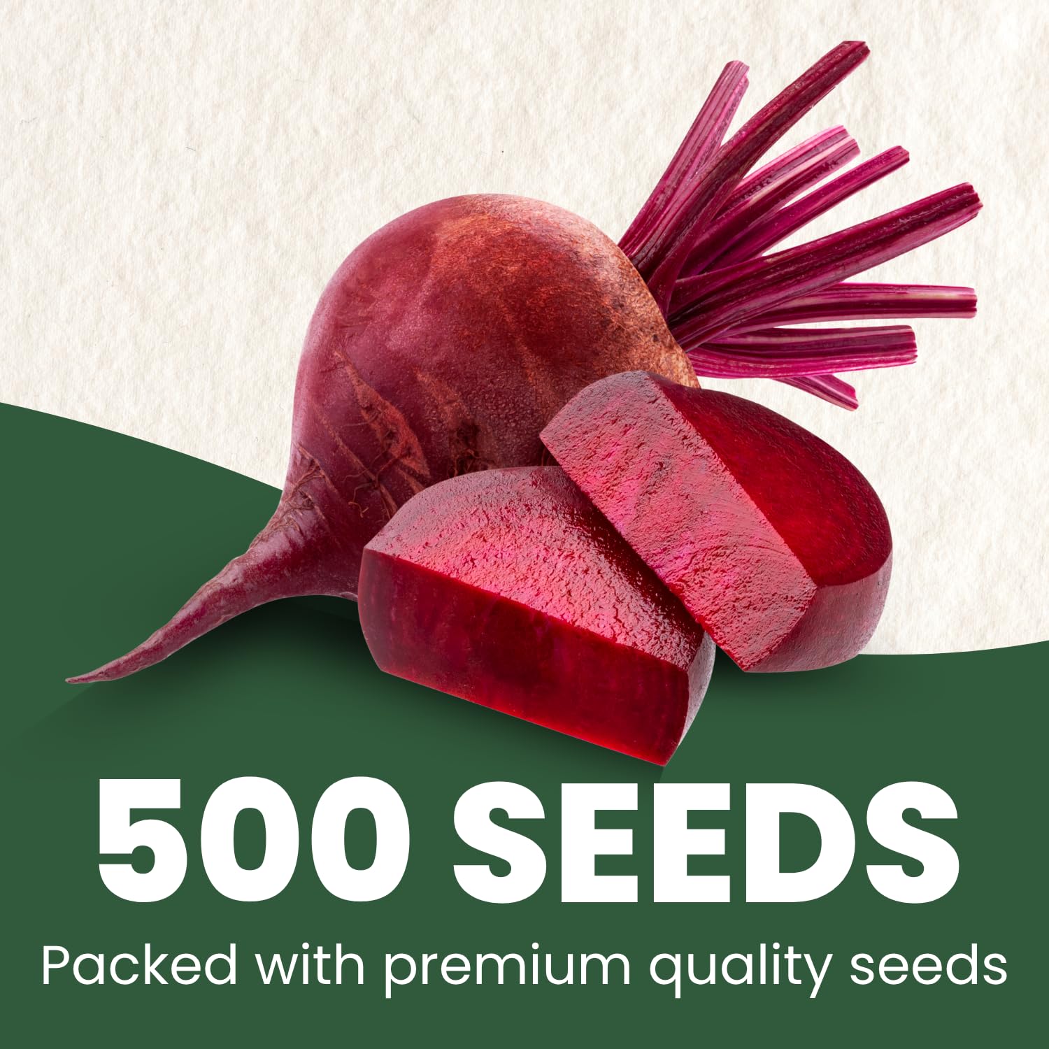 FAMILY SOWN beet roots close-up shows vibrant color ideal for roasting and juicing.
