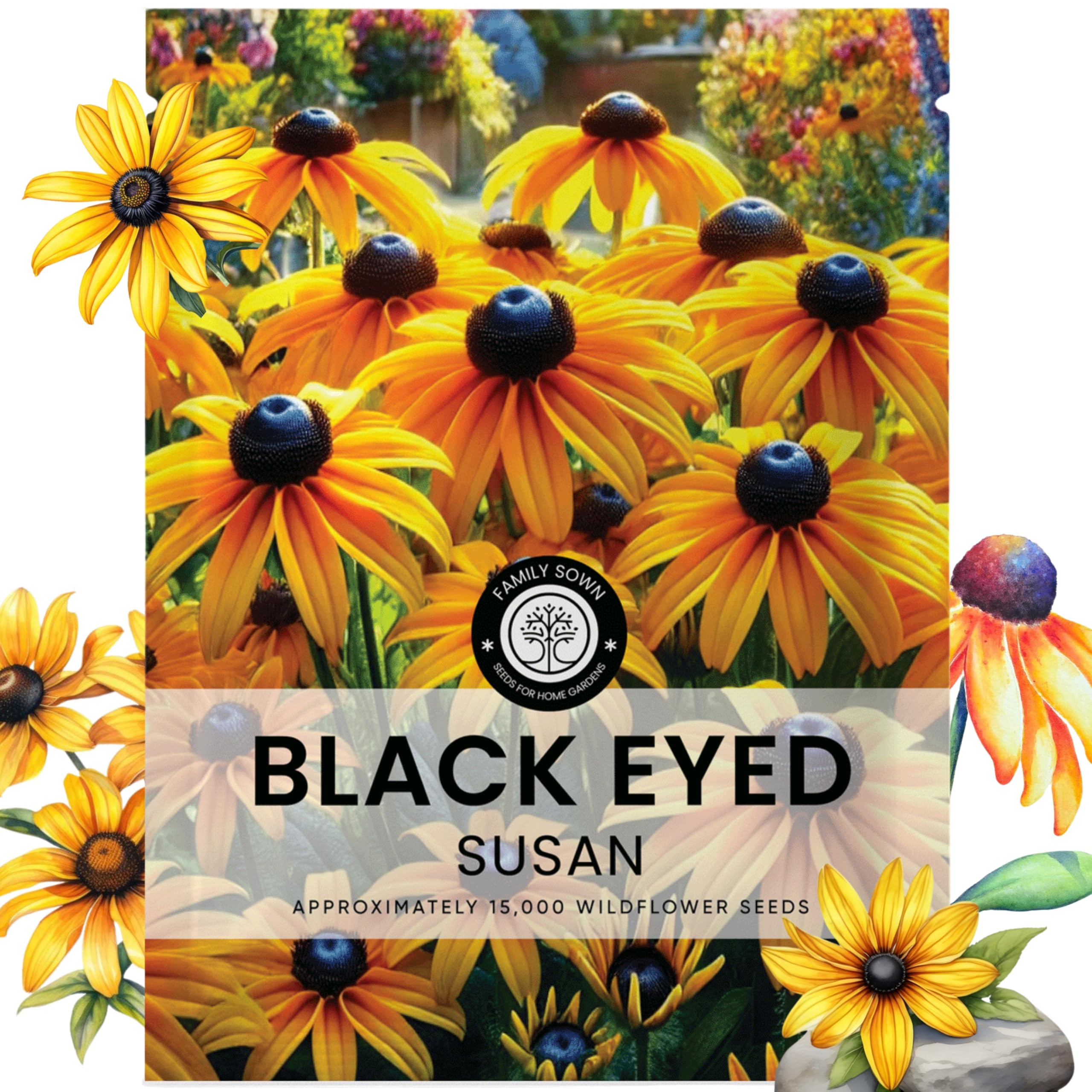 FAMILY SOWN Black Eyed Susan envelope seeds ready for border planting to create color