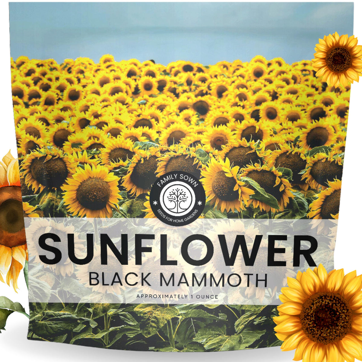 Family Sown Black Mammoth seeds packet with abundant live seeds for bold planting.