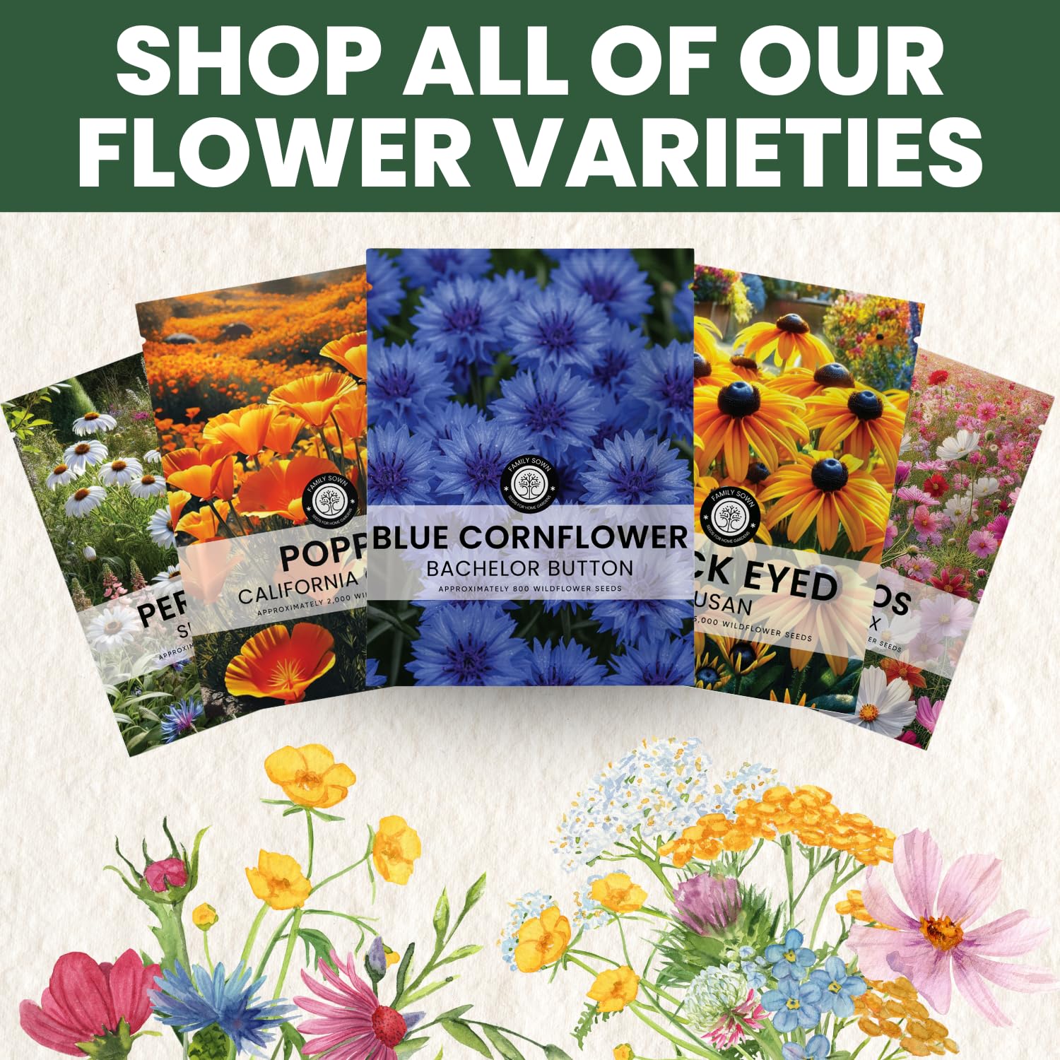 FAMILY SOWN field meadow display highlights vibrant blue blooms in large plantings.