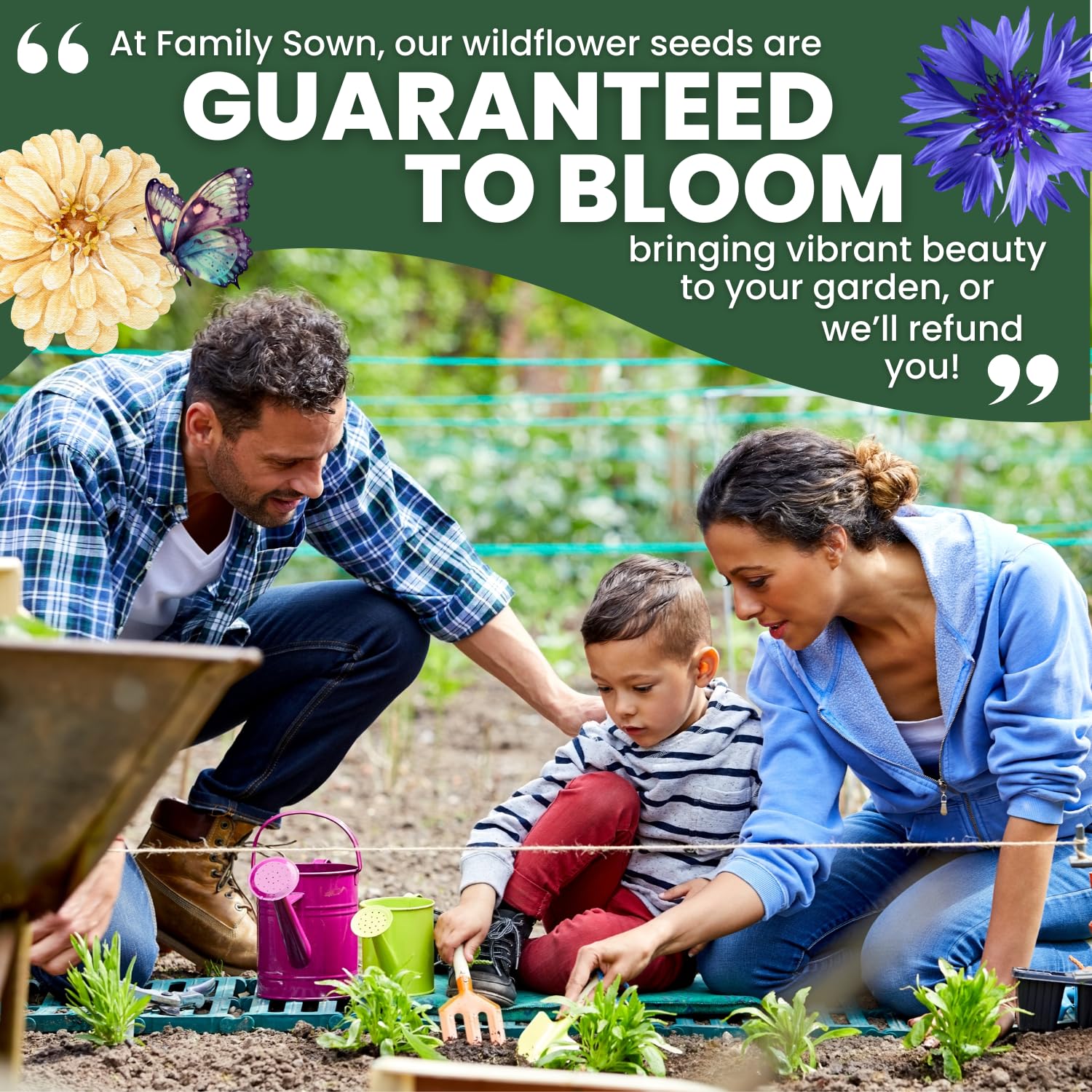 FAMILY SOWN 2026 season seeds support consistent blooming across spring and summer.
