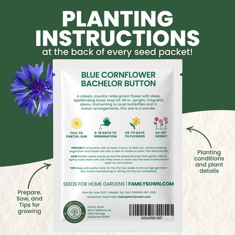 Family Sown Blue Cornflower seedling in soil showing healthy growth