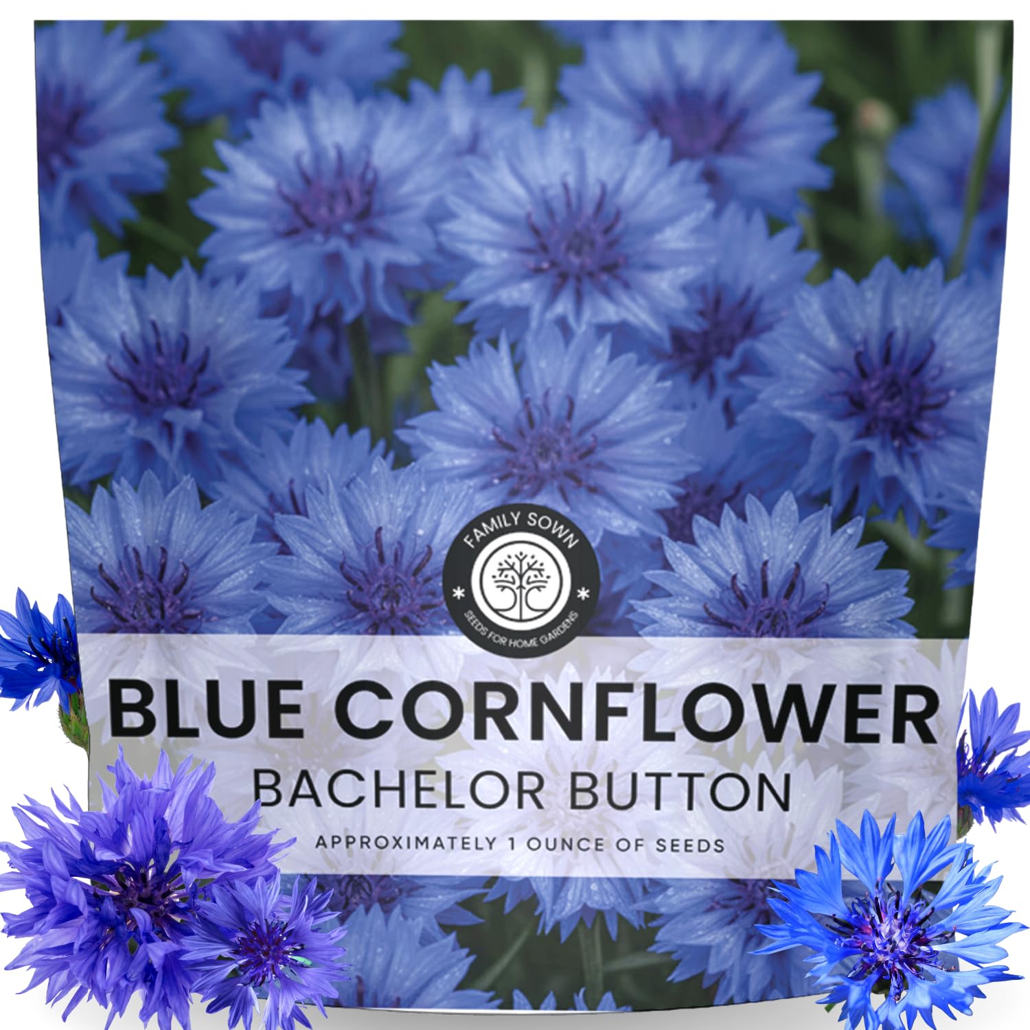FAMILY SOWN blue cornflower seeds pack for easy spring planting and bright borders.