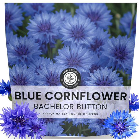 FAMILY SOWN blue cornflower seeds pack for easy spring planting and bright borders.