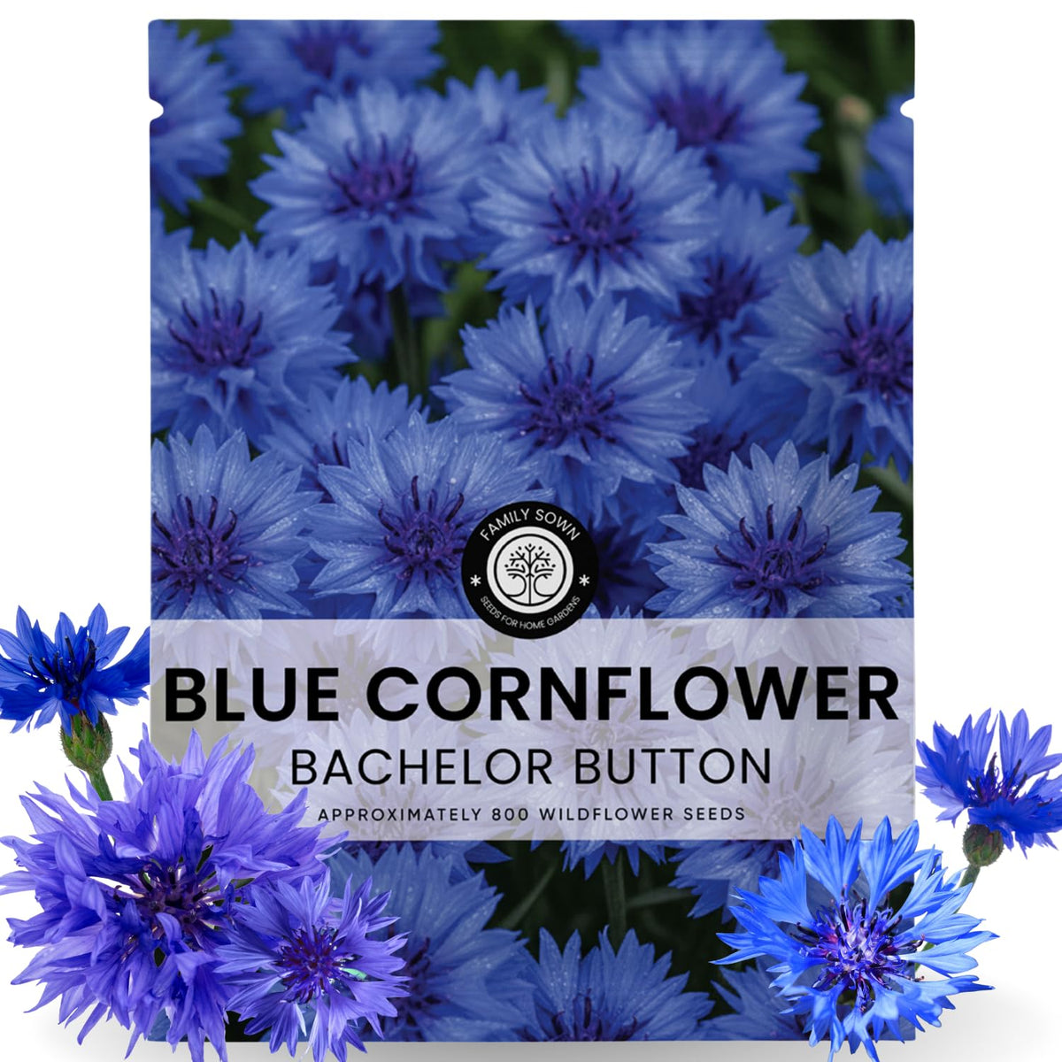 Family Sown Blue Cornflower seeds pouch ready for spring planting and vibrant borders