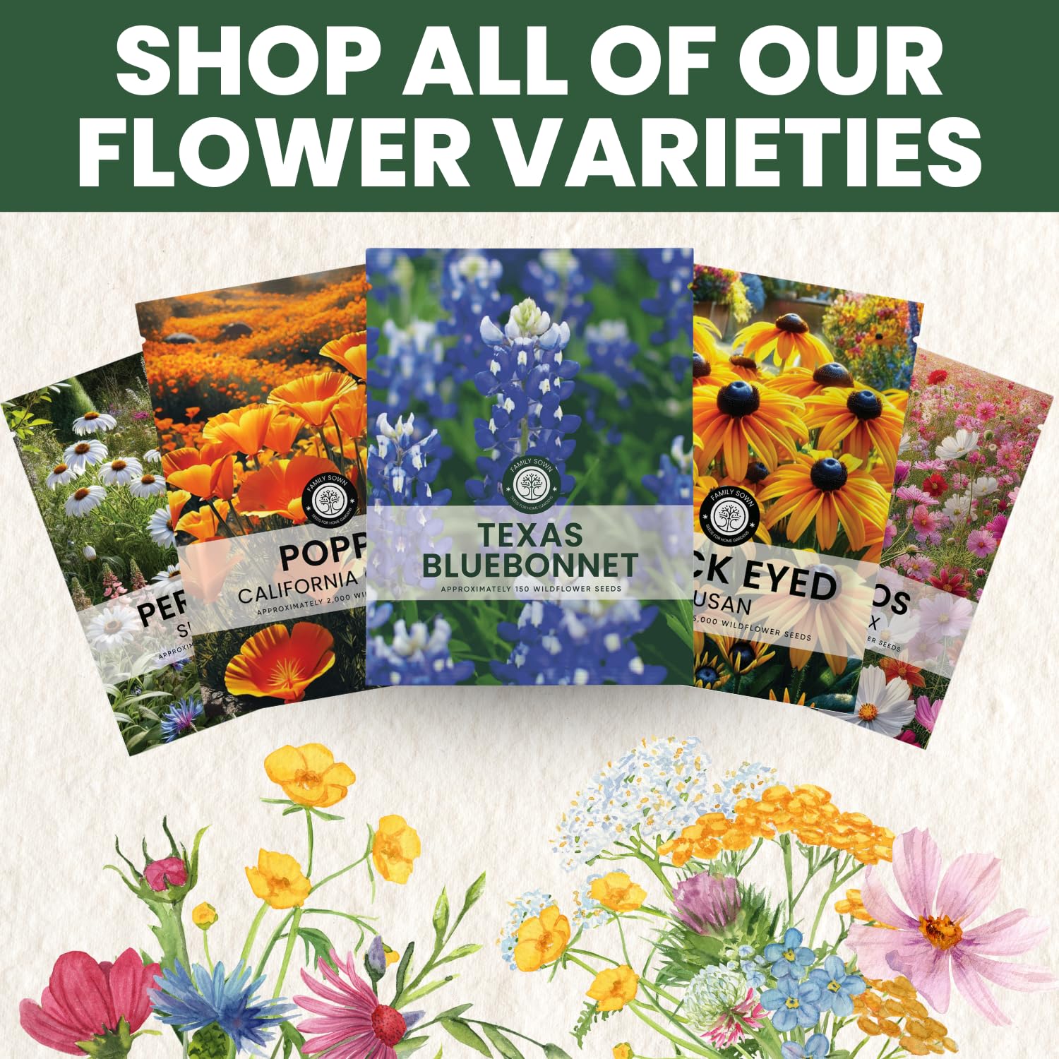Fresh 2026 season seeds from Family Sown promise reliable germination and healthy rosettes.