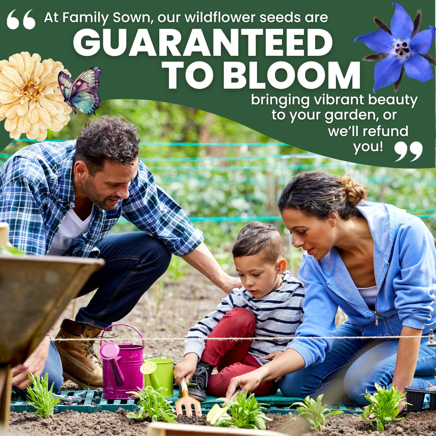 Family Sown borage seeds germinate in rich soil with gentle warmth.