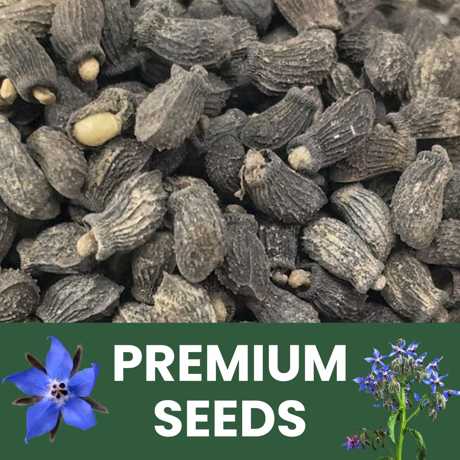 Family Sown freshness-sealed packaging preserves germination for the 2026 season.