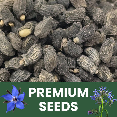 Family Sown freshness-sealed packaging preserves germination for the 2026 season.