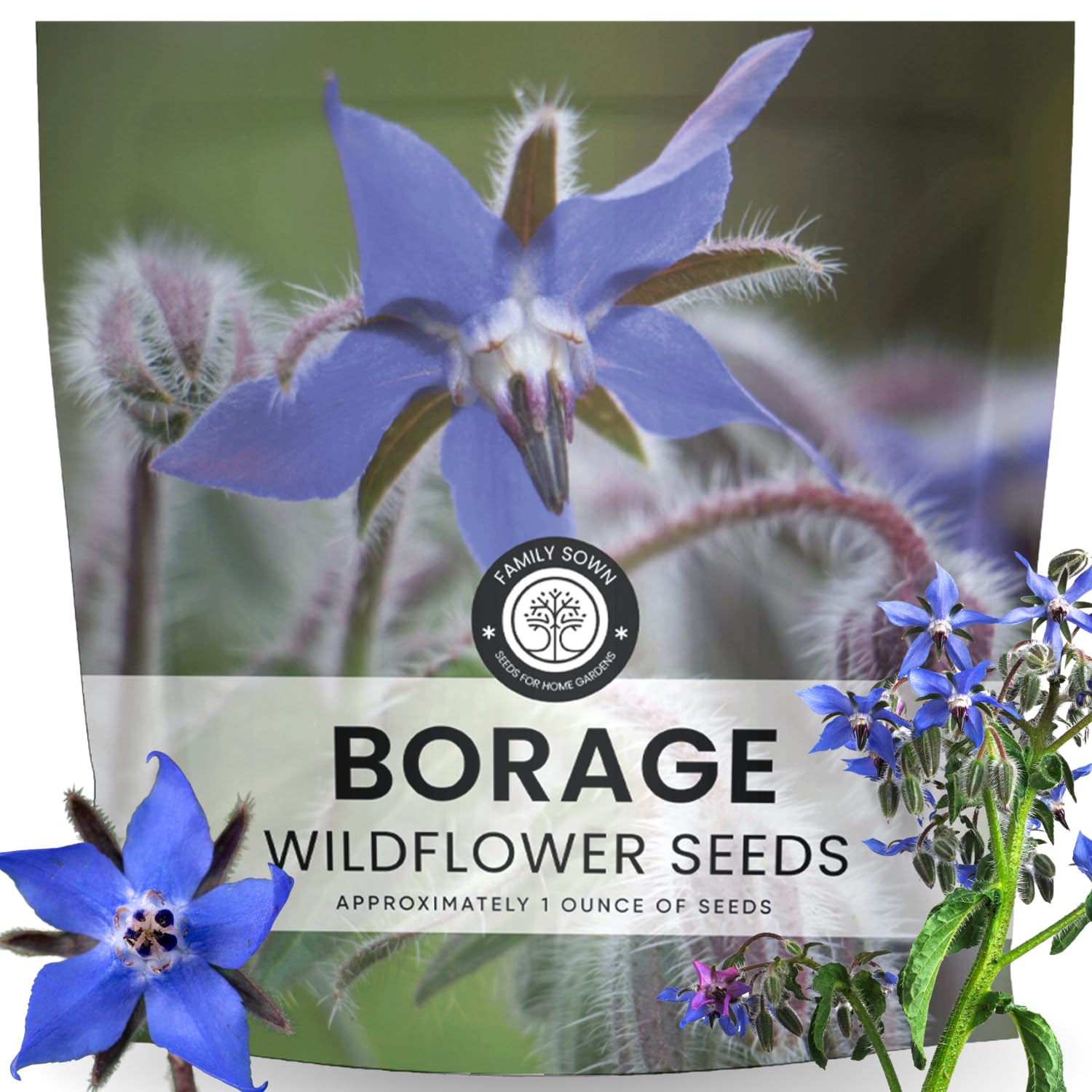 Family Sown borage seeds in a 1-ounce pouch for vibrant edible blooms.