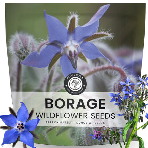 Family Sown borage seeds in a 1-ounce pouch for vibrant edible blooms.