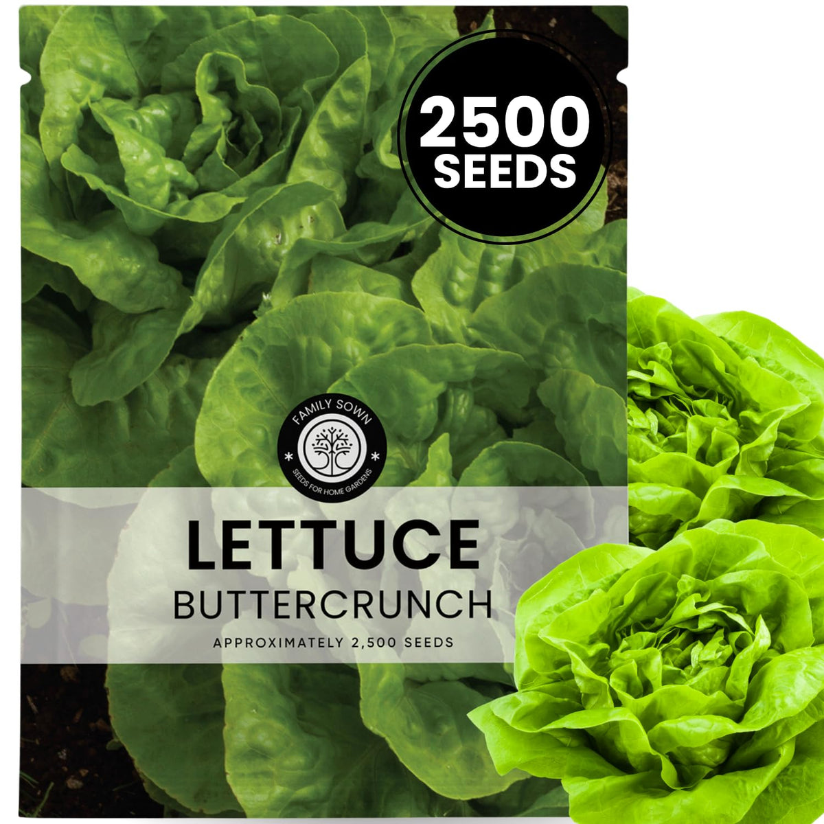 Family Sown Buttercrunch seeds pack showing 2,500 premium seeds for abundant sowing