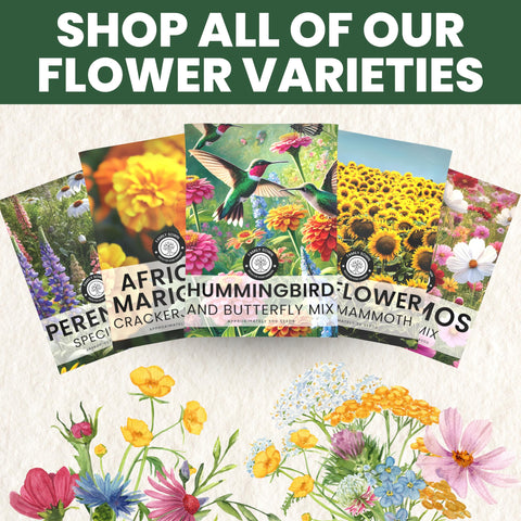 Gift-ready packaging of Family Sown Calendula Pacific Beauty seeds