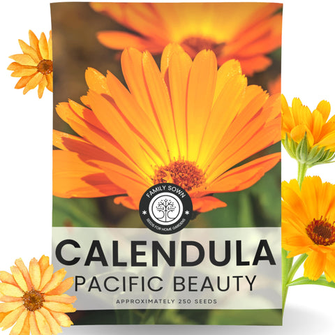 Family Sown Calendula Pacific Beauty seed envelope ready for planting in a sunny border
