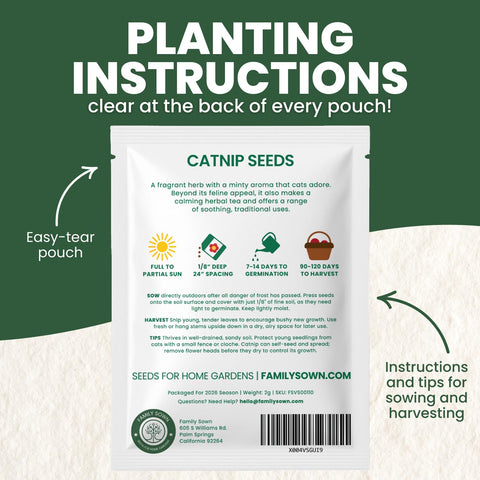 Family Sown catnip plant leaves with fragrant, soft foliage