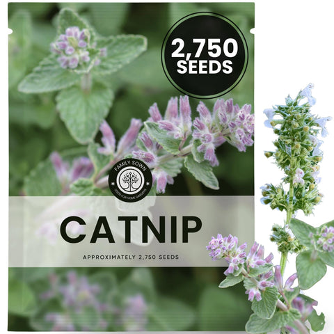 Family Sown catnip seeds pack shot showing 2,750 premium seeds for planting