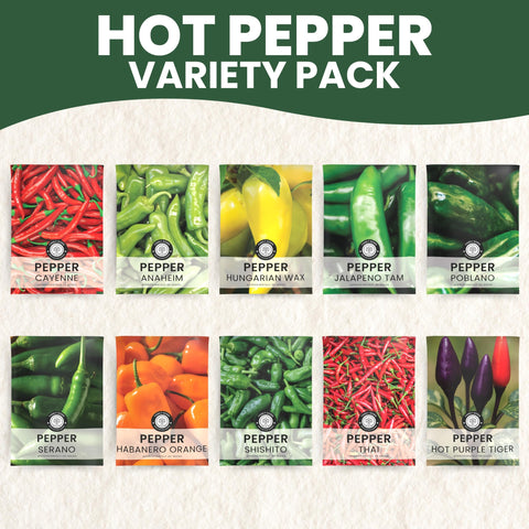 Family Sown Cayenne seed pack ideal for spicy salsa and roasting