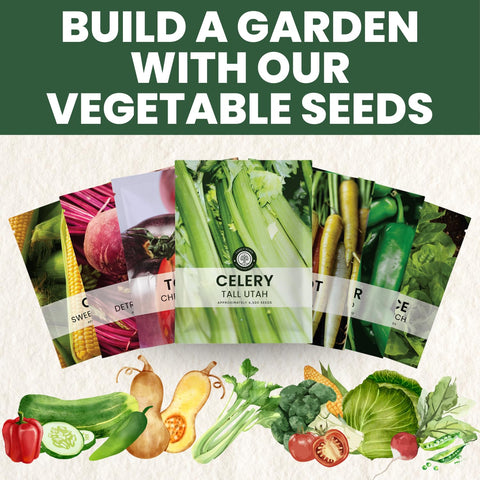 Home garden setup with Family Sown seed packet ready to plant.