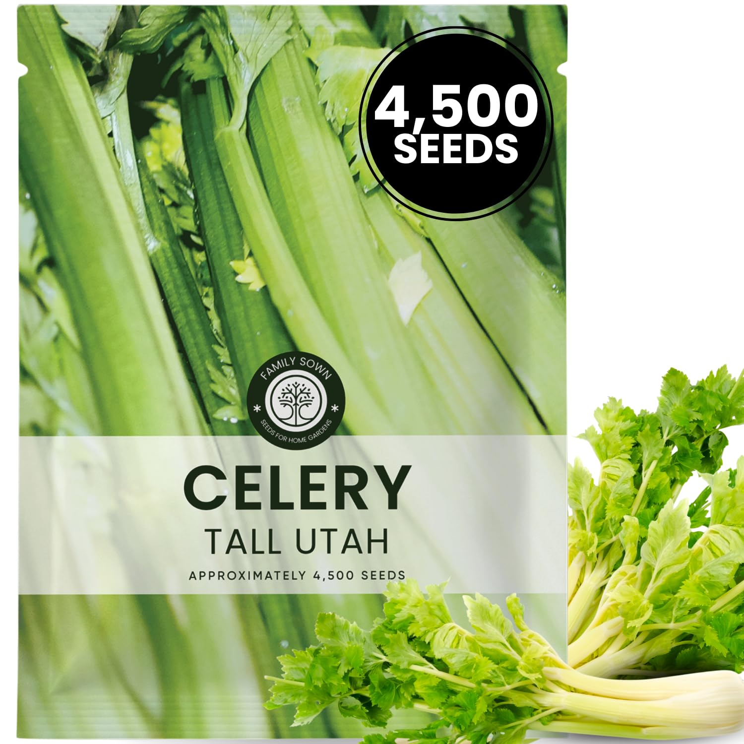 Family Sown Celery Tall Utah seeds packet primed for reliable germination.