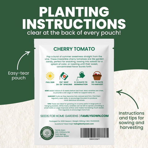 Bright red cherry tomatoes forming on long, heavy trusses