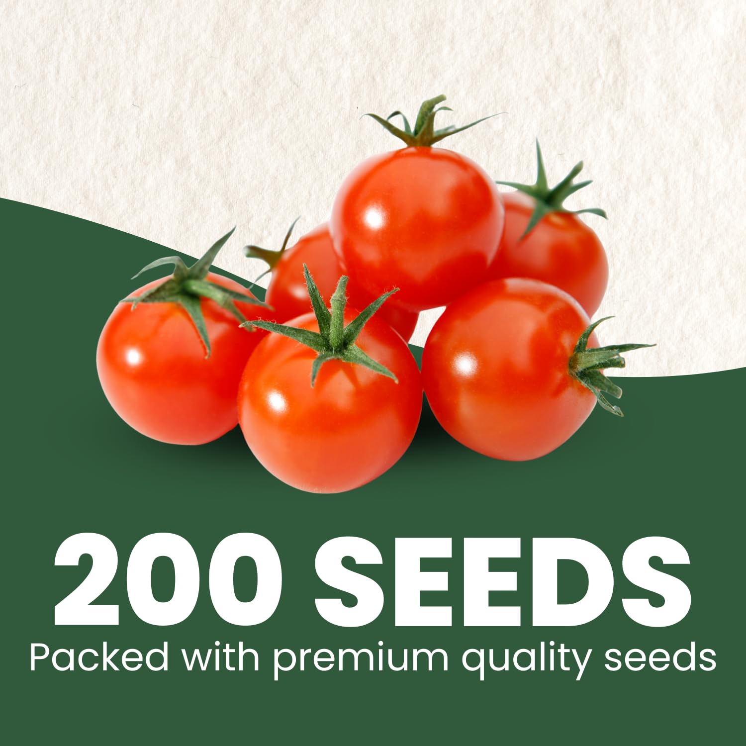 Close-up of moisture-control pouch protecting seed viability for 2026 planting