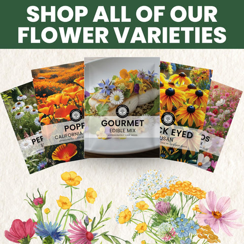 Family Sown colorful salad flowers ready to brighten dishes