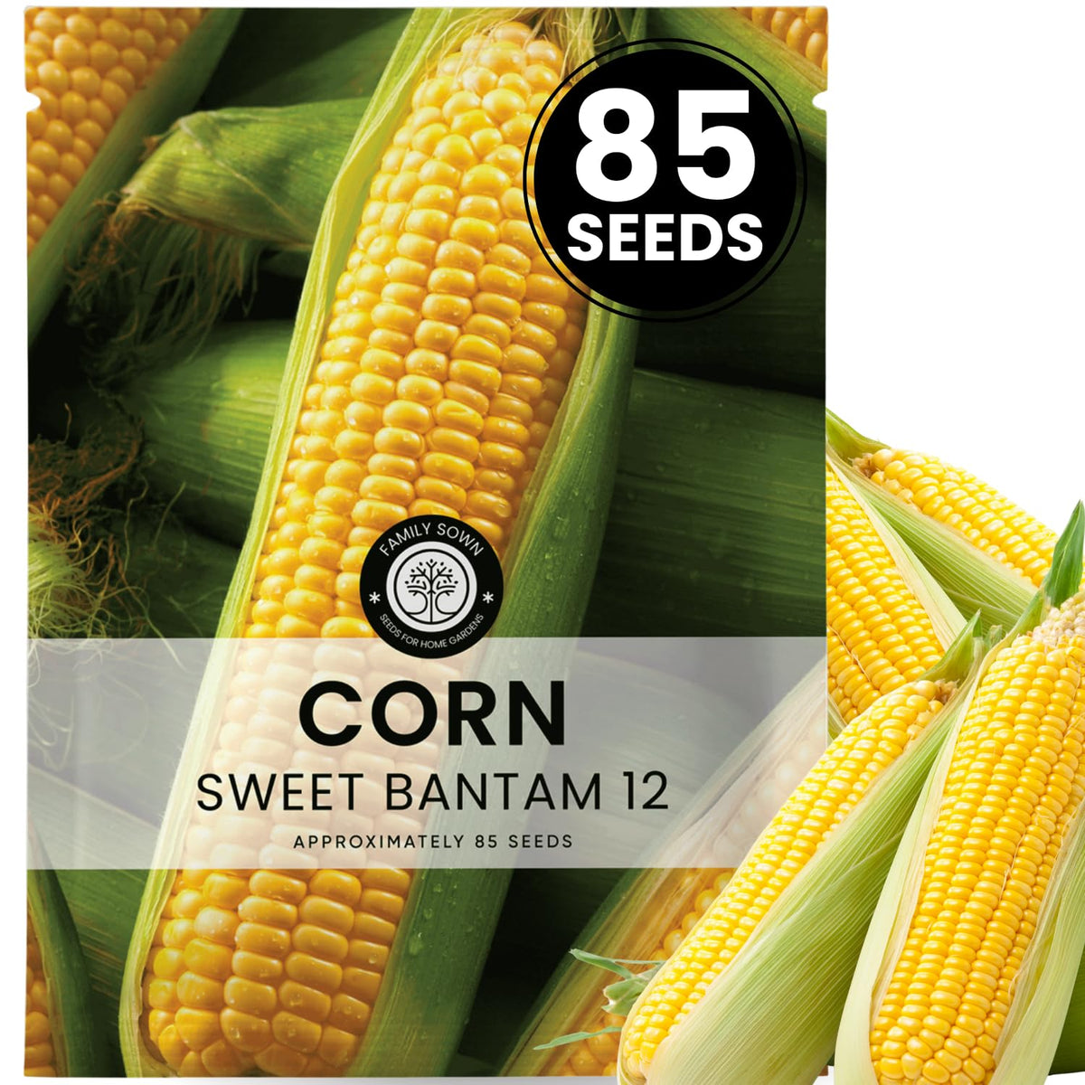 Family Sown Corn Sweet Bantam 12 seeds in a sunny bed for spring planting.