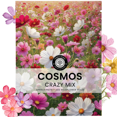 Family Sown Crazy Cosmos Mix envelope front view for a colorful border garden