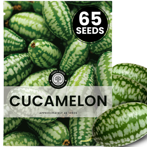 Family Sown Cucamelon seeds in a freshness pouch for reliable planting
