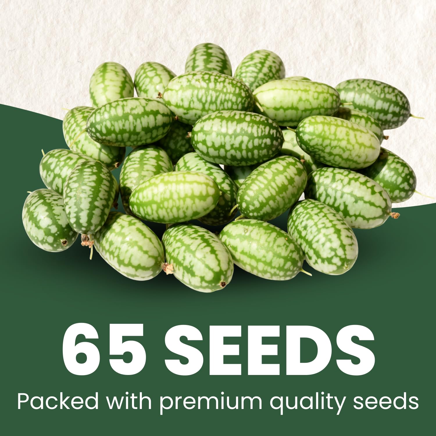 Family Sown Cucamelon tiny fruits close-up with crisp citrusy flavor