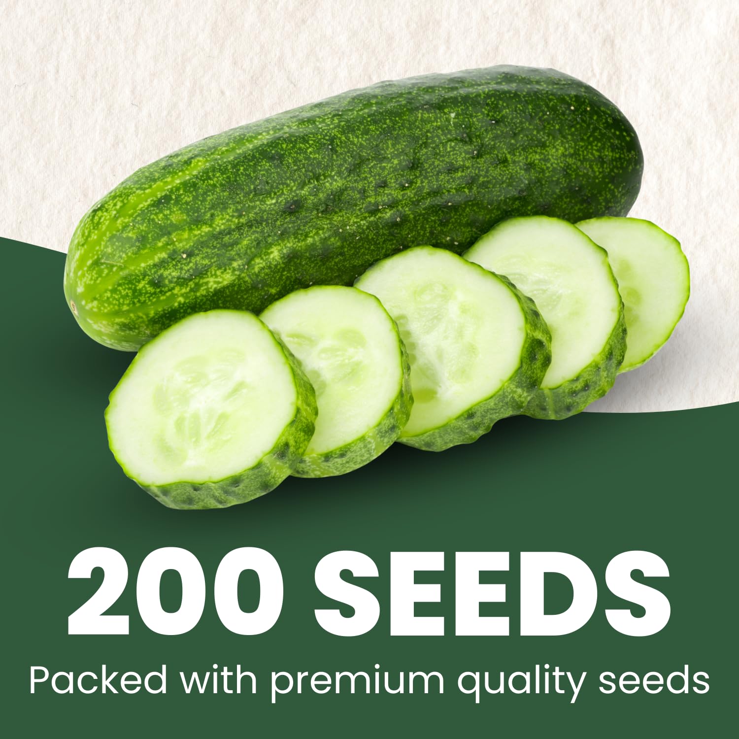 Family Sown Cucumber Muncher seeds close-up showing uniform seeds for easy sowing