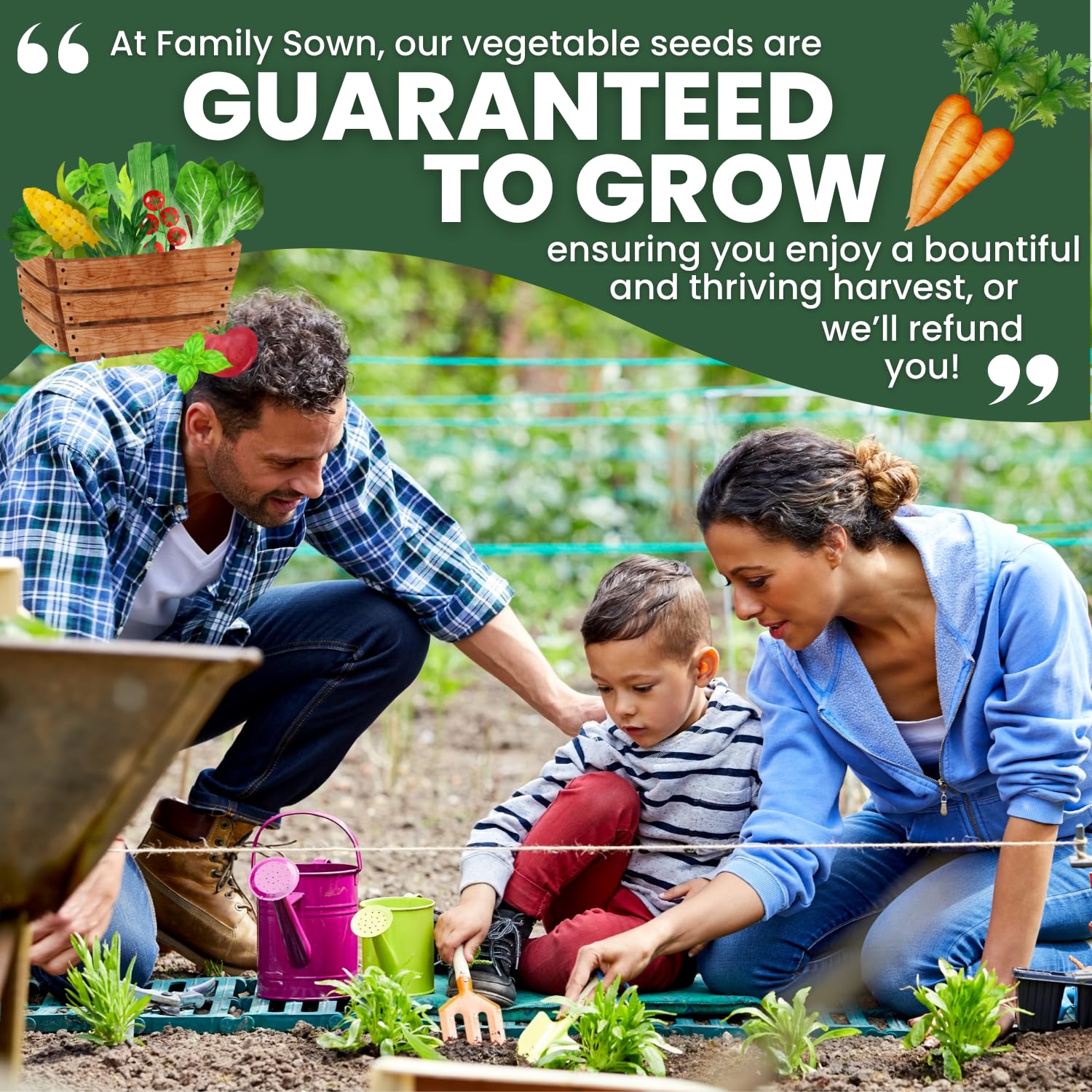 FAMILY SOWN Danvers 126 perfect for roasting and juicing