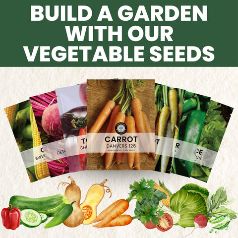 FAMILY SOWN Danvers 126 5-gram pouch preserves seed freshness