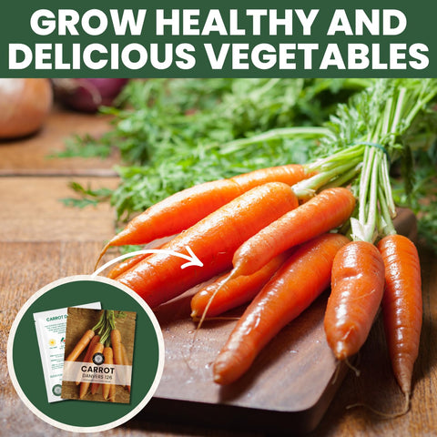 FAMILY SOWN Danvers 126 ideal for storage and long-term keeping