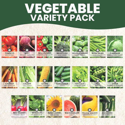 Family Sown diverse seed packets for easy home cultivation and variety.