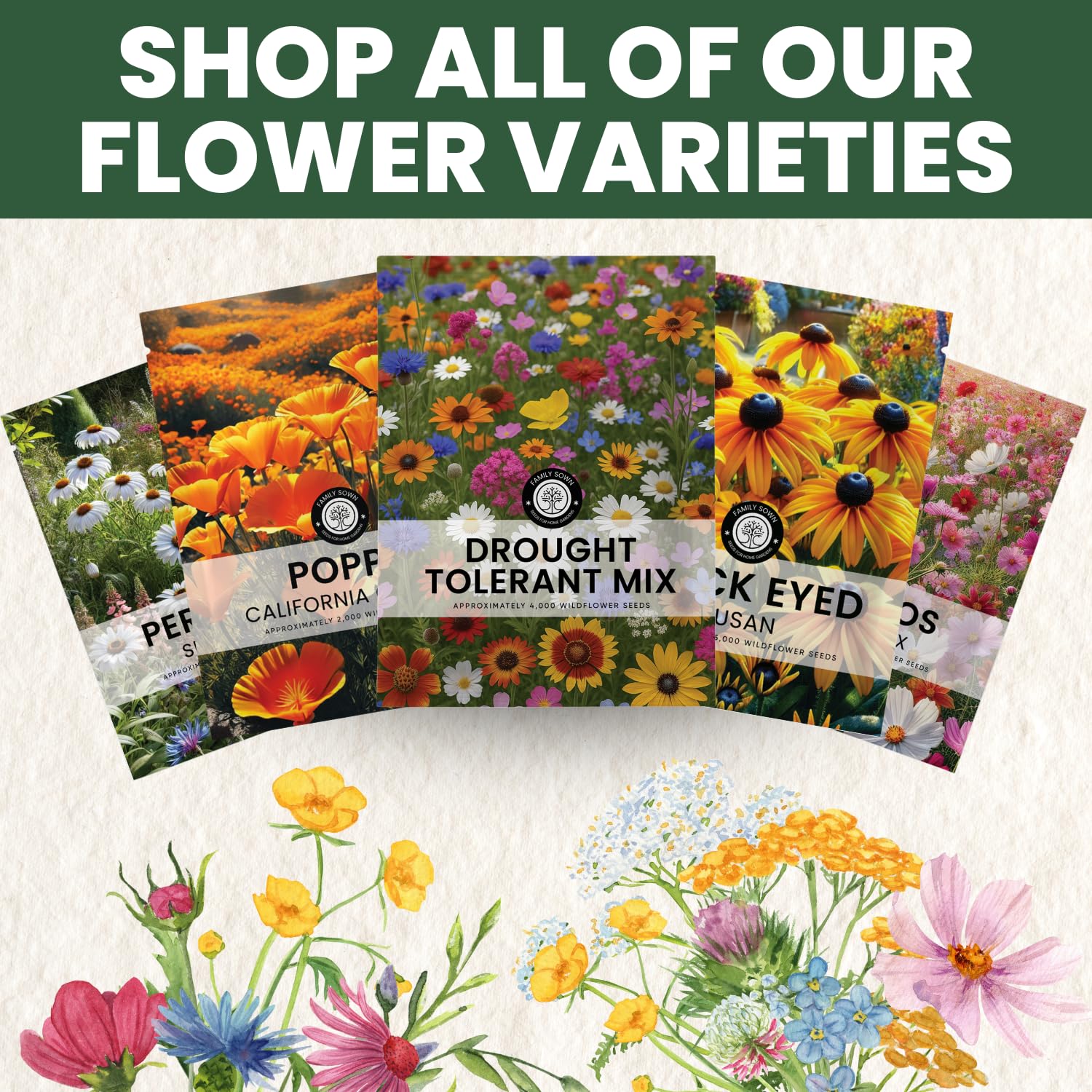 Family Sown drought-adapted varieties collection with colorful, heat-tolerant blooms.